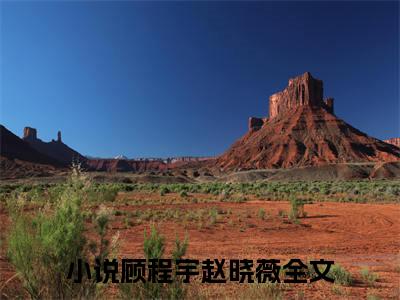 顾程宇赵晓薇精彩章节在线阅读，顾程宇赵晓薇小说全文最新章节列表