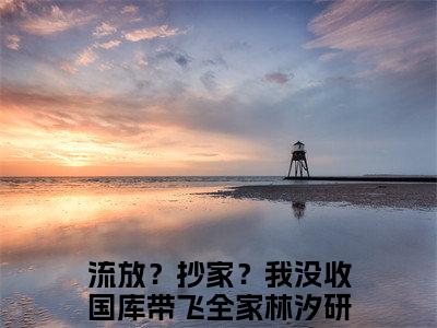 流放？抄家？我没收国库带飞全家林汐研正版小说强推流放？抄家？我没收国库带飞全家林汐研免费小说无弹窗