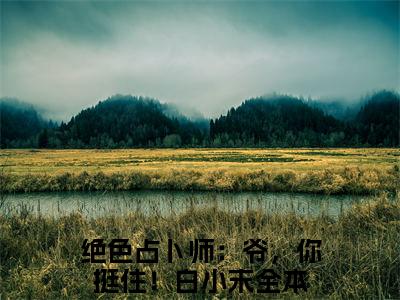 绝色占卜师：爷，你挺住！白小末全文免费阅读_（绝色占卜师：爷，你挺住！白小末小说）绝色占卜师：爷，你挺住！白小末言情小说在线阅读笔趣阁