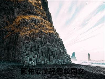 顾佑安林轻霜小说（顾佑安林轻霜）最新章节阅读-最新热点小说顾佑安林轻霜