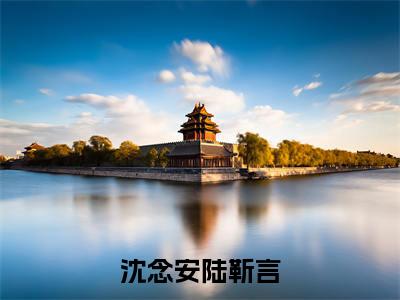 沈念安陆靳言人气小说在线阅读-正版小说《沈念安陆靳言》沈念安陆靳言全文阅读