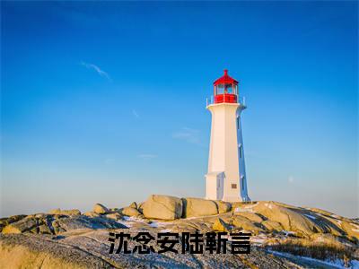 沈念安陆靳言（沈念安陆靳言）小说完整版阅读-沈念安陆靳言小说全文免费阅读
