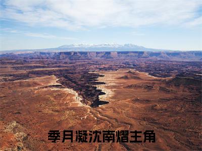 季月凝沈南熠（季月凝沈南熠）全文免费阅读无弹窗大结局_(季月凝沈南熠)免费阅读无弹窗最新章节列表