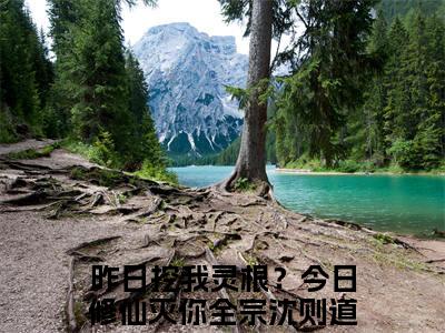 昨日挖我灵根？今日修仙灭你全宗沈则道（昨日挖我灵根？今日修仙灭你全宗沈则道）全文免费阅读无弹窗大结局_昨日挖我灵根？今日修仙灭你全宗沈则道最新章节列表_笔趣阁（昨日挖我灵根？今日修仙灭你全宗沈则道）