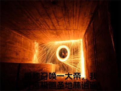 每秒召唤一大帝，我打造极道圣地林逍遥全文免费阅读_每秒召唤一大帝，我打造极道圣地林逍遥最新小说_笔趣阁