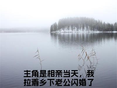 《相亲当天，我拉着乡下老公闪婚了姜禾小说》在线阅读-相亲当天，我拉着乡下老公闪婚了姜禾免费完整版在线阅读