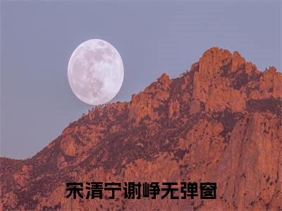 穿越八零，忠犬老公宠上天小说（宋清宁谢峥全文完整版免费阅读）_穿越八零，忠犬老公宠上天小说免费最新章节列表_笔趣阁