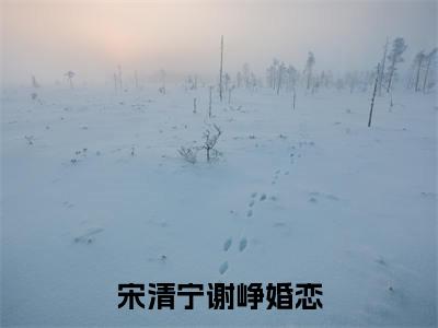 宋清宁谢峥（穿越八零，忠犬老公宠上天）全文免费阅读_（宋清宁谢峥）穿越八零，忠犬老公宠上天最新章节小说免费阅读_笔趣阁