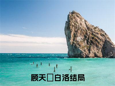 顾天璟白洛（顾天璟白洛全文免费阅读）完结阅读_顾天璟白洛全文免费阅读免费看全文