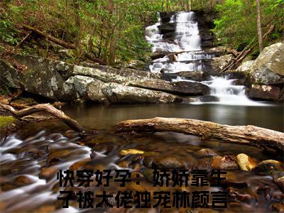（快穿好孕：娇娇靠生子被大佬独宠林颜）是什么小说-（快穿好孕：娇娇靠生子被大佬独宠林颜）全文免费阅读无弹窗大结局（快穿好孕：娇娇靠生子被大佬独宠林颜）最新章节列表_笔趣阁