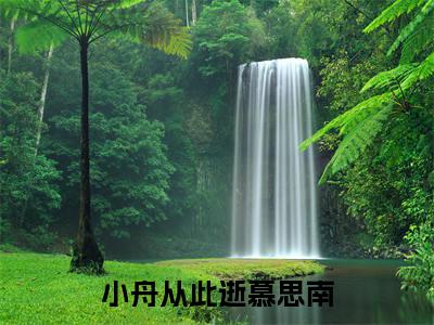 小舟从此逝慕思南全文免费阅读-主角为小舟从此逝慕思南的小说