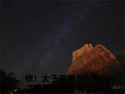 芸娘江清宁小说（惊！太子爷第九十九次提亲被拒）全文在线阅读无弹窗大结局芸娘江清宁