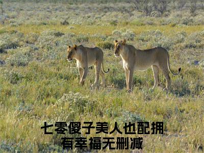 郑城王琳（七零傻子美人也配拥有幸福）小说最新章节在线阅读-郑城王琳（七零傻子美人也配拥有幸福）已完结全集大结局
