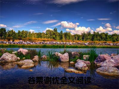 谷栗谢忱小说在线阅读全文无弹窗大结局_糕糕在上小说免费最新章节列表（全文）+（后续）