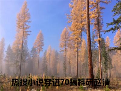 穿进70搞科研赵清小说（穿进70搞科研赵清）全文免费阅读无弹窗大结局_（穿进70搞科研赵清小说全文免费阅读无弹窗）穿进70搞科研赵清最新章节列表_笔趣阁（穿进70搞科研赵清小说）