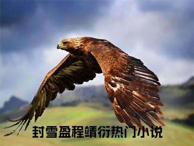 封雪盈程靖衍（重生七零他悔婚创业当老板）全文无弹窗大结局_封雪盈程靖衍小说最新章节列表