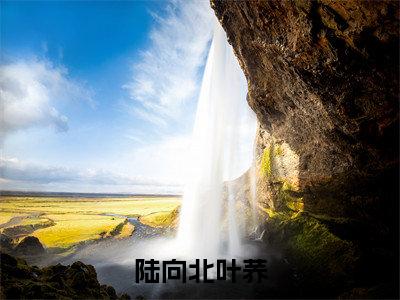 穿越七零：我被兵哥哥宠爆了小说（陆向北叶荞）全文免费阅读大结局_（穿越七零：我被兵哥哥宠爆了）陆向北叶荞小说免费阅读无弹窗