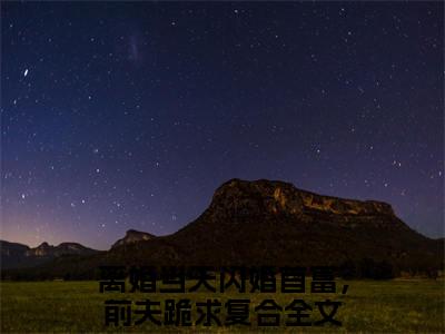 离婚当天闪婚首富，前夫跪求复合（薄庭江晚意）全文免费阅读无弹窗大结局_薄庭江晚意_笔趣阁