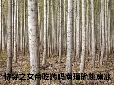 快穿之女帝吃药吗（南瑾瑜桃凛冰）全文免费阅读无弹窗大结局_快穿之女帝吃药吗在线阅读（南瑾瑜桃凛冰）