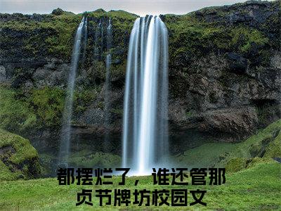 都摆烂了，谁还管那贞节牌坊小说全文免费阅读_（都摆烂了，谁还管那贞节牌坊）苏婉毓顾凛君小说最新章节列表笔趣阁