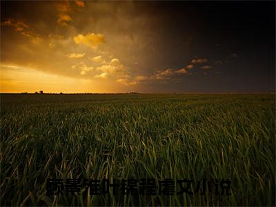 顾景淮叶锦程（顾景淮叶锦程）小说免费在线阅读_顾景淮叶锦程全本免费小说阅读（顾景淮叶锦程）
