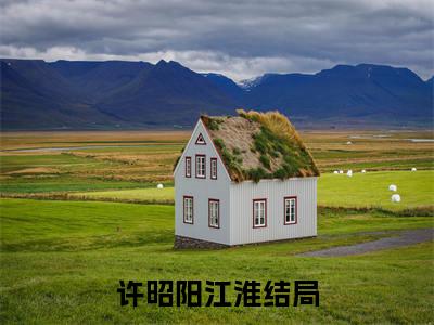主角许昭阳江淮小说阑夜小说全文免费阅读