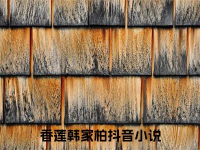 丢了男人的女人（香莲韩家柏）多人追免费无弹窗小说-主角香莲韩家柏完整版在线阅读（丢了男人的女人）