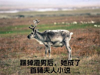 踹掉渣男后，她成了首辅夫人是陆婉婉谢怀瑾的小说_主角是踹掉渣男后，她成了首辅夫人免费阅读_踹掉渣男后，她成了首辅夫人小说免费阅读-笔趣阁