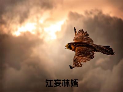 江妄林嫣（江妄林嫣）小说全文免费阅读无弹窗-江妄林嫣小说全文免费阅读最新章节列表笔趣阁