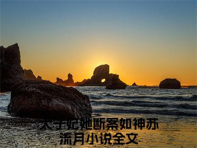 太子妃她断案如神苏流月最新免费小说全文在线阅读无弹窗大结局_（太子妃她断案如神苏流月全文在线阅读无弹窗）