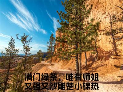 满门绿茶，唯有师姐又强又沙雕楚小锦(满门绿茶，唯有师姐又强又沙雕楚小锦)小说全文小说免费阅读_满门绿茶，唯有师姐又强又沙雕楚小锦最新章节列表笔趣阁