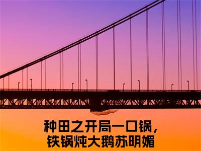 种田之开局一口锅，铁锅炖大鹅苏明媚小说免费阅读（种田之开局一口锅，铁锅炖大鹅苏明媚）全文免费阅读无弹窗大结局_种田之开局一口锅，铁锅炖大鹅苏明媚小说免费阅读最新章节列表_笔趣阁（种田之开局一口锅，铁锅炖大鹅苏明媚）