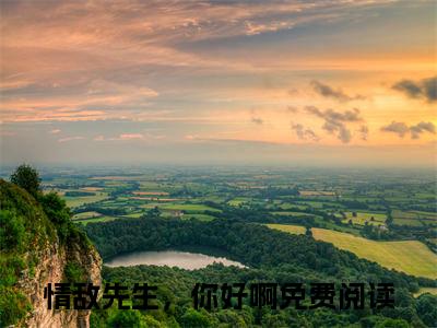 情敌先生，你好啊小说（岑沐白郁天青已完结小说全集完整版大结局）岑沐白郁天青小说全文阅读笔趣阁