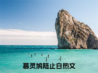 慕灵鸠陆止白全章节目录慕灵鸠陆止白小说阅读