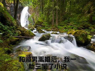 傅斯年夏灵小说限时免费，和渣男离婚后，我一胎三宝了完结版小说阅读无弹窗_笔趣阁