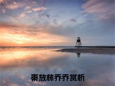 重生年代：糙汉读心后日日娇宠我（秦放林乔乔）最新章节阅读-热点小说榜单推荐秦放林乔乔