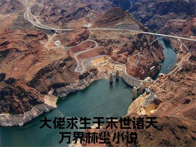 大佬求生于末世诸天万界林尘小说(大佬求生于末世诸天万界林尘)小说全文免费阅读_（大佬求生于末世诸天万界林尘）大佬求生于末世诸天万界林尘最新章节列表