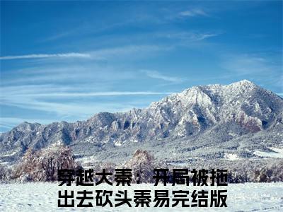 穿越大秦：开局被拖出去砍头秦易大结局全文免费阅读最新章节_穿越大秦：开局被拖出去砍头秦易大结局