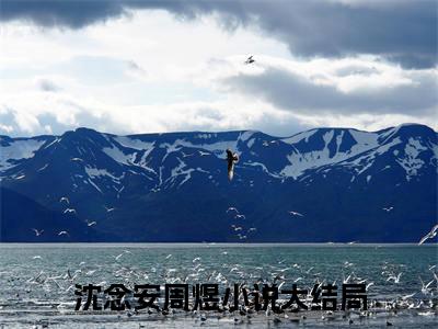 沈念安周煜(沈念安周煜)全文免费阅读无弹窗大结局_（沈念安周煜）沈念安周煜免费阅读无弹窗最新章节列表_笔趣阁（沈念安周煜）