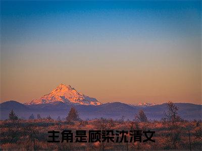 顾染沈清文全本小说无弹窗阅读-顾染沈清文（顾染沈清文）精彩热门小说