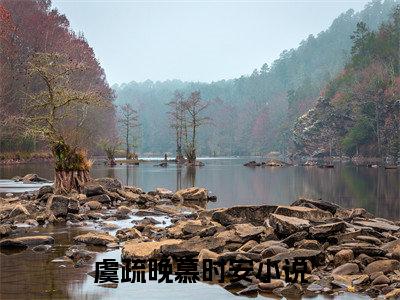 虞疏晚慕时安（虞疏晚慕时安）全文免费阅读无弹窗大结局_虞疏晚慕时安最新章节列表（虞疏晚慕时安）
