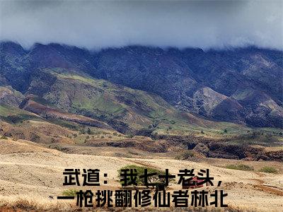武道：我七十老头，一枪挑翻修仙者林北后续+番外免费阅读_（武道：我七十老头，一枪挑翻修仙者林北后续+番外免费阅读无弹窗）武道：我七十老头，一枪挑翻修仙者林北最新章节列表笔趣阁（武道：我七十老头，一枪挑翻修仙者林北后续+番外）