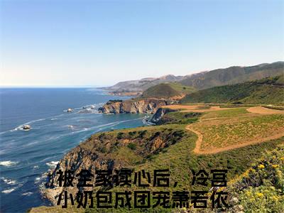 被全家读心后，冷宫小奶包成团宠萧若依免费阅读无弹窗大结局_(被全家读心后，冷宫小奶包成团宠萧若依免费阅读)被全家读心后，冷宫小奶包成团宠萧若依免费阅读无弹窗最新章节列表_笔趣阁