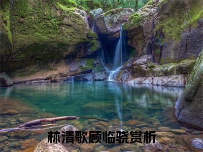 林清歌顾临骁推荐免费新书 -林清歌顾临骁小说阅读无弹窗