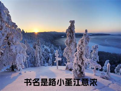 路小堇江意浓小说全文免费阅读 路小堇江意浓最新章节