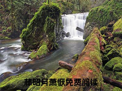 林昭月萧恹全文免费阅读在线阅读 林昭月萧恹全文免费阅读最新章节列表_笔趣阁