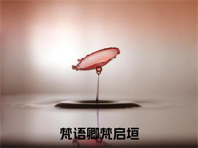 梵语卿梵启垣（梵语卿梵启垣）全文免费阅读无弹窗大结局梵语卿梵启垣