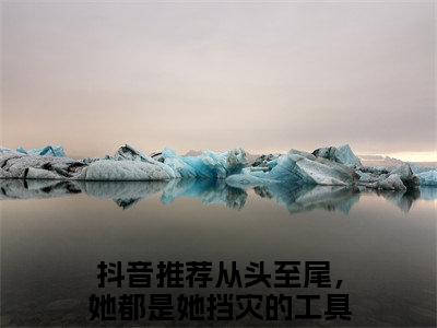 好书推荐小说从头至尾，她都是她挡灾的工具人（桑落裴清川）-从头至尾，她都是她挡灾的工具人全文免费阅读大结局