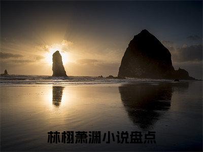（林栩萧渊）全文免费阅读无弹窗大结局_（苍山负雪无归期）章节列表_笔趣阁