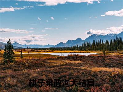棋子梁政洵全文免费阅读_（棋子梁政洵免费阅读无弹窗）棋子梁政洵最新章节列表